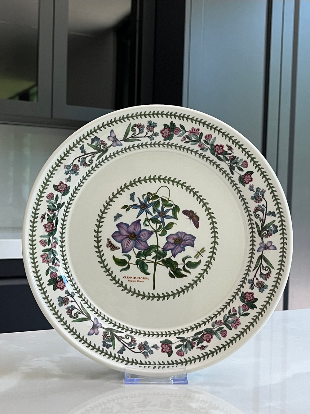 Portmeirion Dinner Plate. Botanic Variations 10.5" Virgins Bower. Like New.